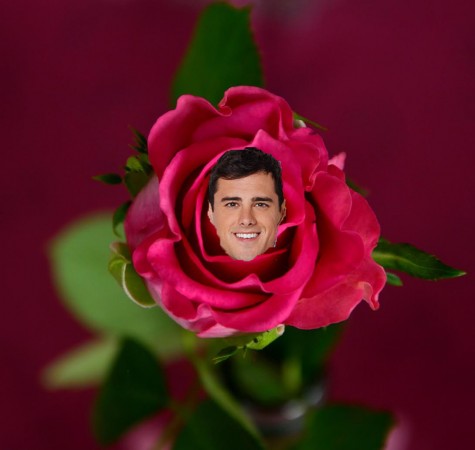 Ben in rose (1)