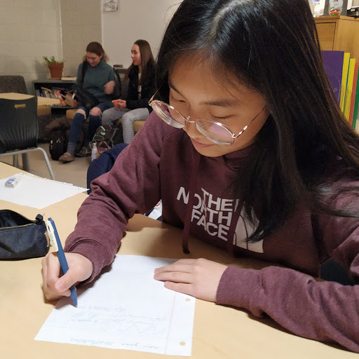 Sophomore Mabel Tong writes her resolutions for the year of 2019, choosing to make a more generalized goal in hopes to be able to easily accomplish it. “I think that since my goal this year is pretty simple and I don't have to put much effort into it, it’ll be pretty easy,” Tong said. “I think resolutions in  general are worthwhile to make as long as they’re simple and within your range of being able to do it.”