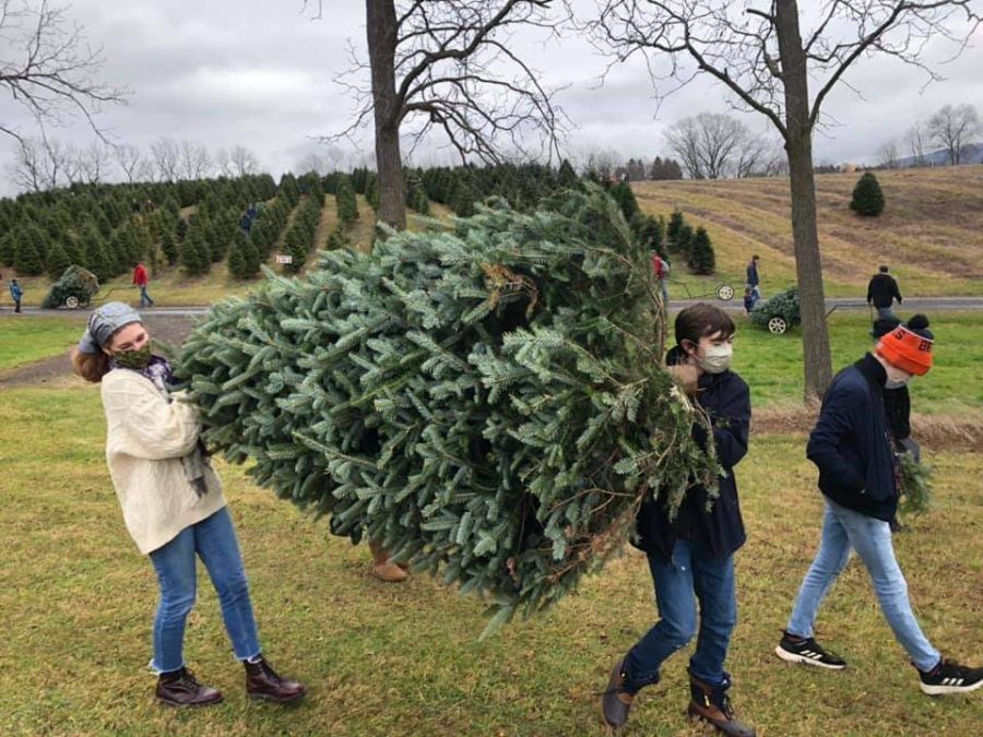 Isabelle, senior, Elijah, sophomore, and Luca, eighth grader, Snyder carry their freshly cut Christmas tree at Tannenbaum Farms in Centre Hall, PA. An annual tradition, the Snyder family has been cutting down their own tree at a local farm since Isabelle was in elementary school.
