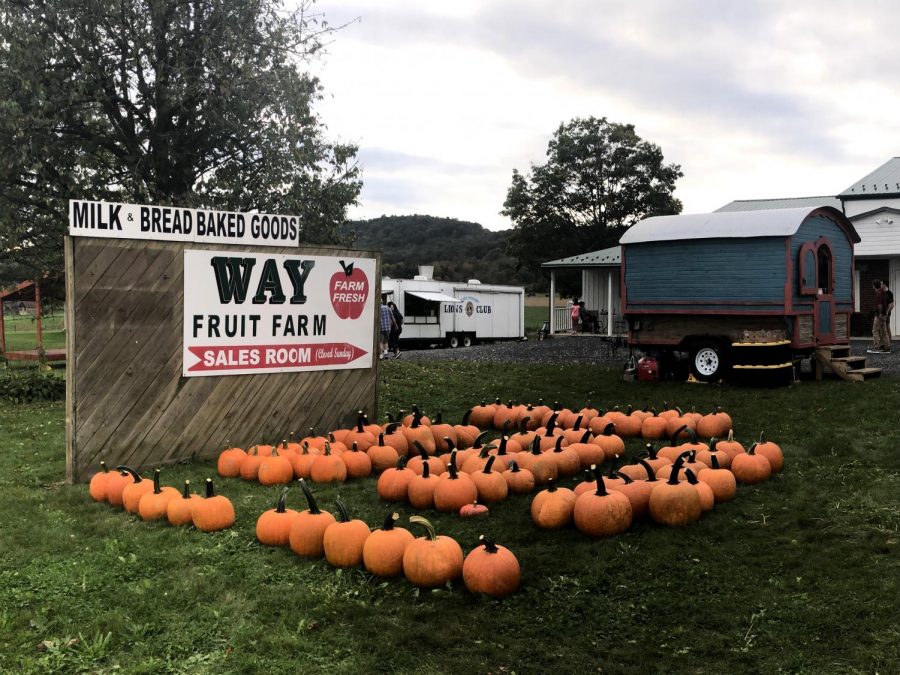 A roadside sign directs passersby on Halfmoon Valley Road to Way Fruit Farm’s store. Adding a festive touch is a display of pumpkins.