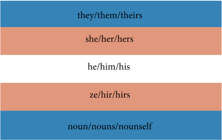 Pronouns Graphic (included: trans flag as background, they/them, she/her, he/him, ze/hirs, and noun/nounself pronouns), created by Ace Moore