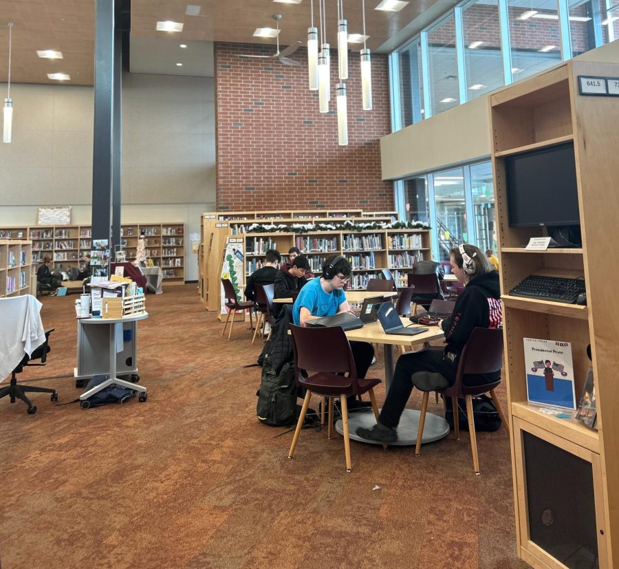 Students working in the State High librarys relaxed environment. 