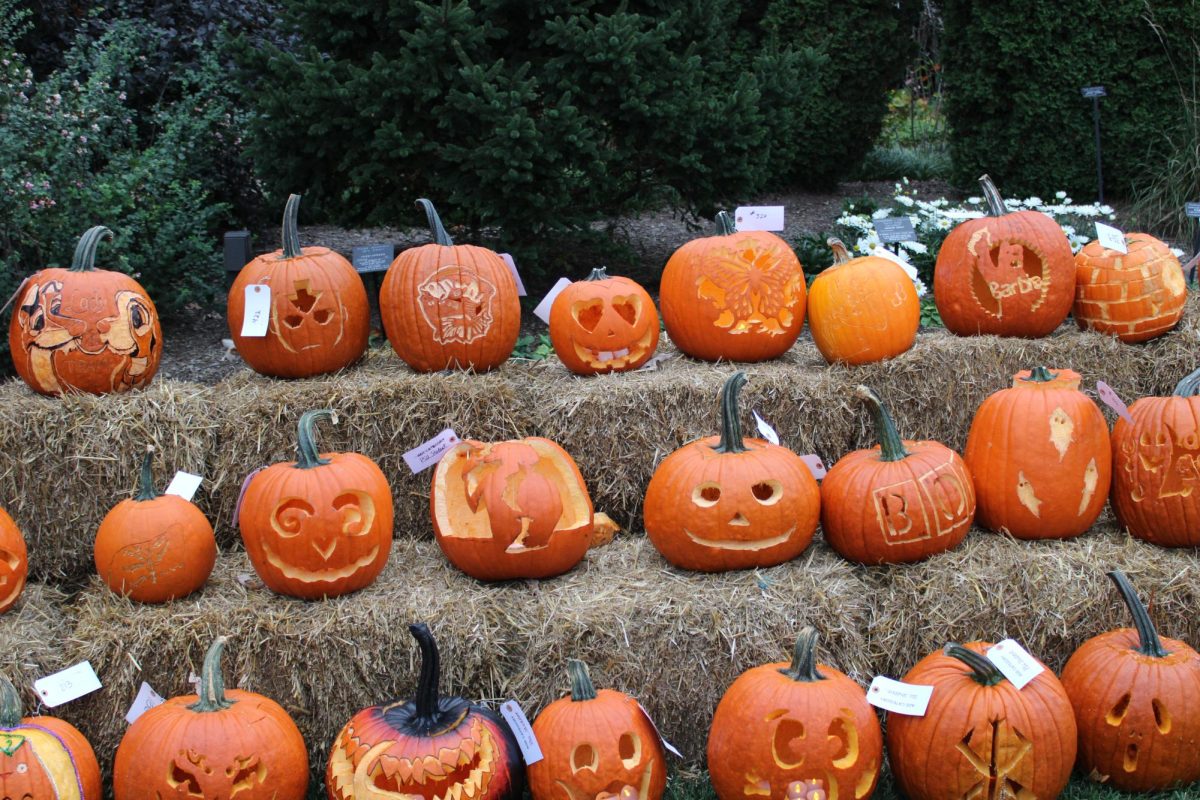 Penn State students pumpkin carvings at the Arboretum