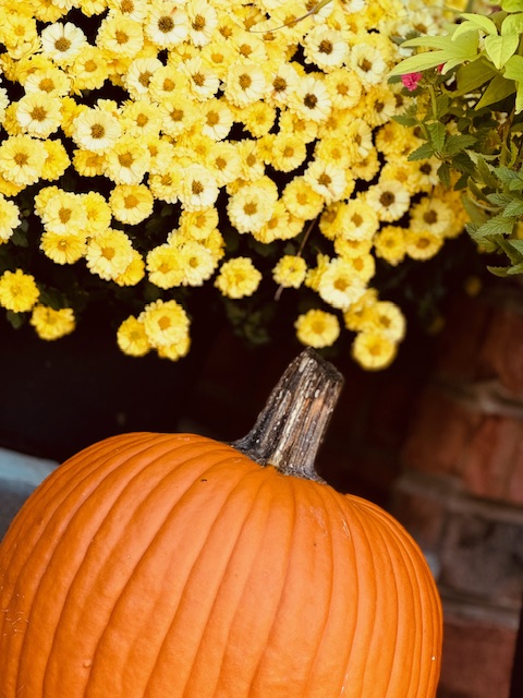 A bright orange pumpkin sits below a pot of glowing yellow mums to create the ideal surrounding for the fall season.