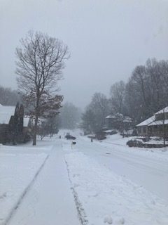 The snowy street on a winter day with bare trees and snowfall.