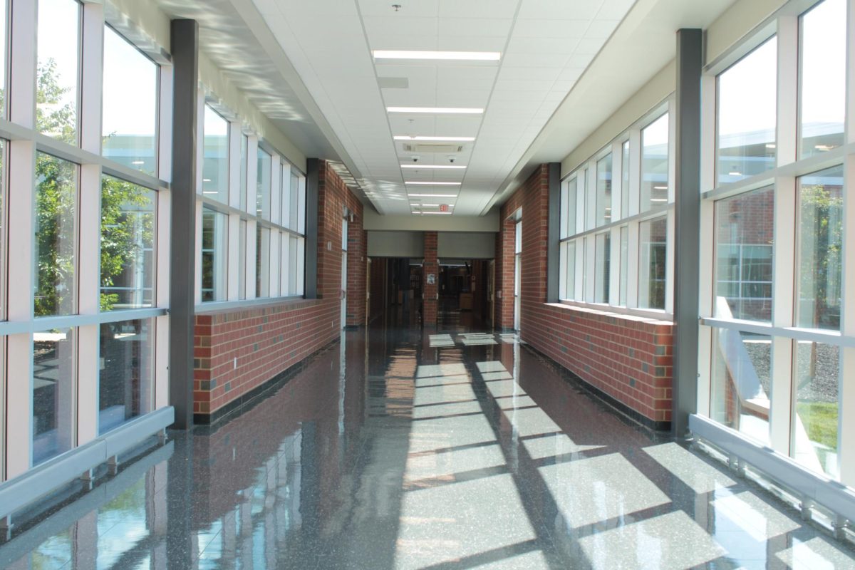 An empty sunlit hallway in State High.