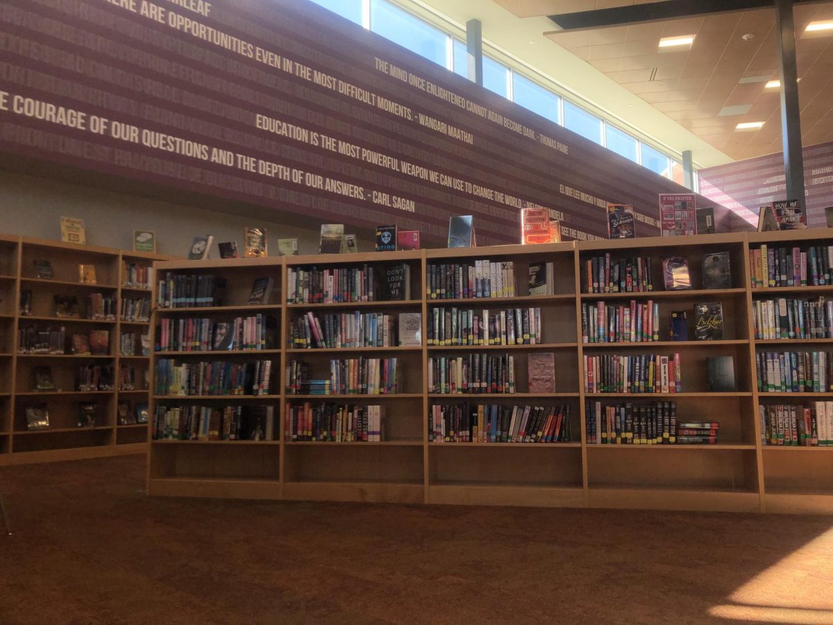 Mrs. Stolarski will join the State High Library team this year. 