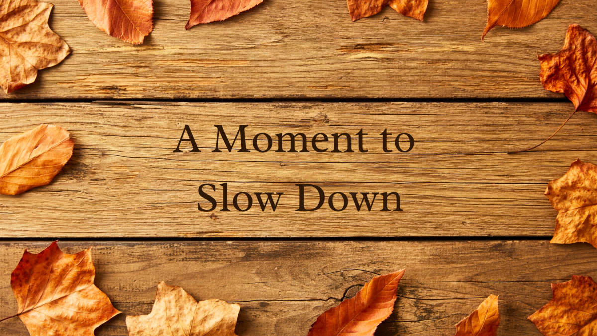 Graphic showing leaves on wood stating “A Moment to Slow Down”
