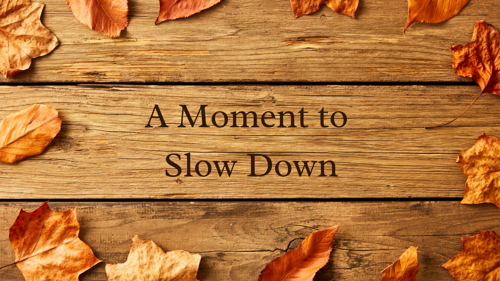 Graphic showing leaves on wood stating “A Moment to Slow Down”
