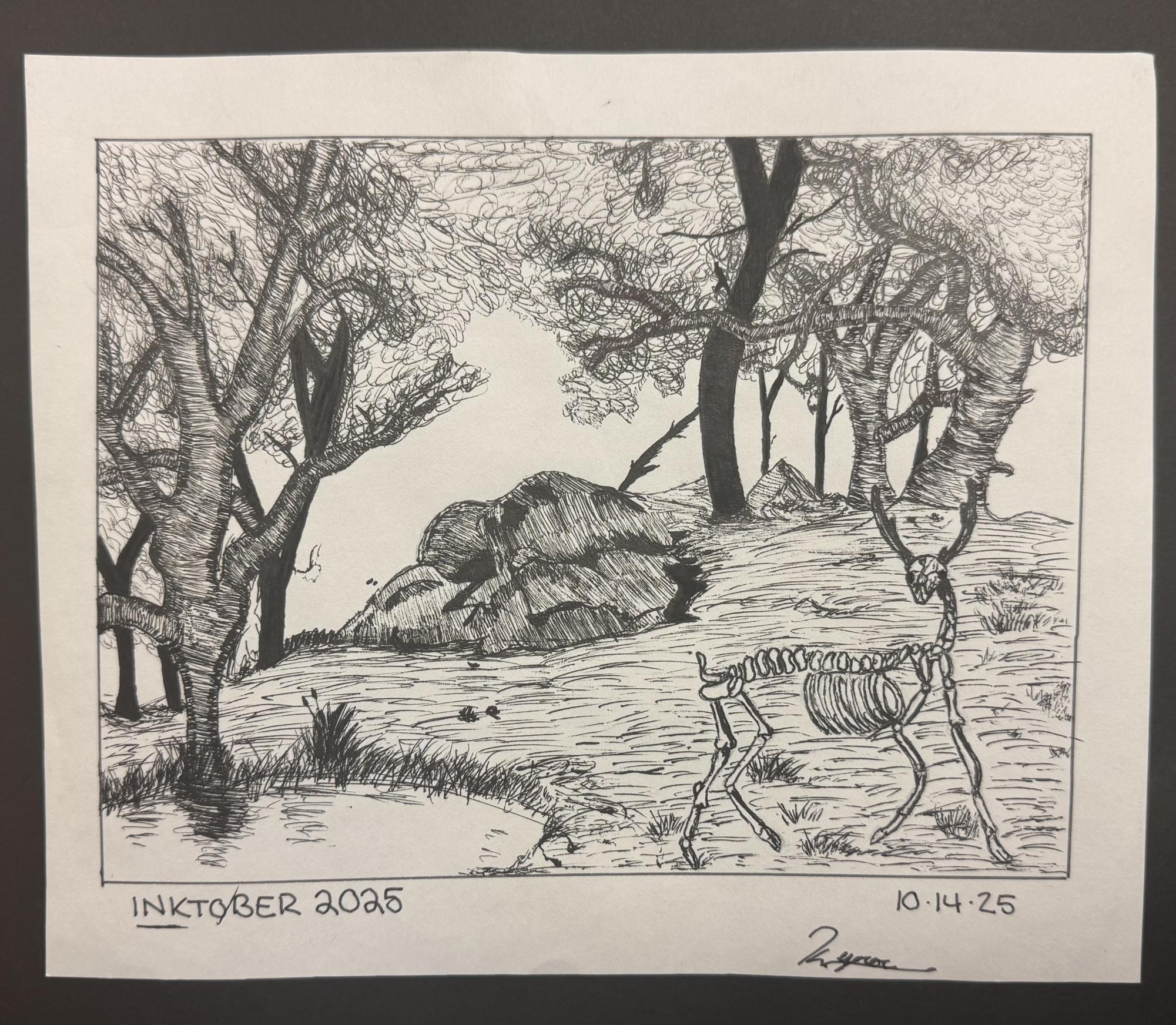 Drawing from Edgar Kennedy, A Mount Nittany Middle School student, of the Inktober prompt: Deer.
