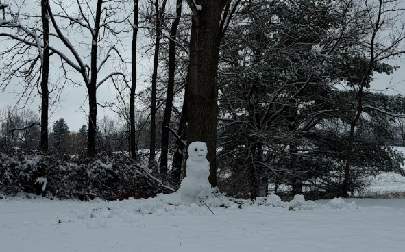 Snowman stands at Tom Tudek Memorial Park.
