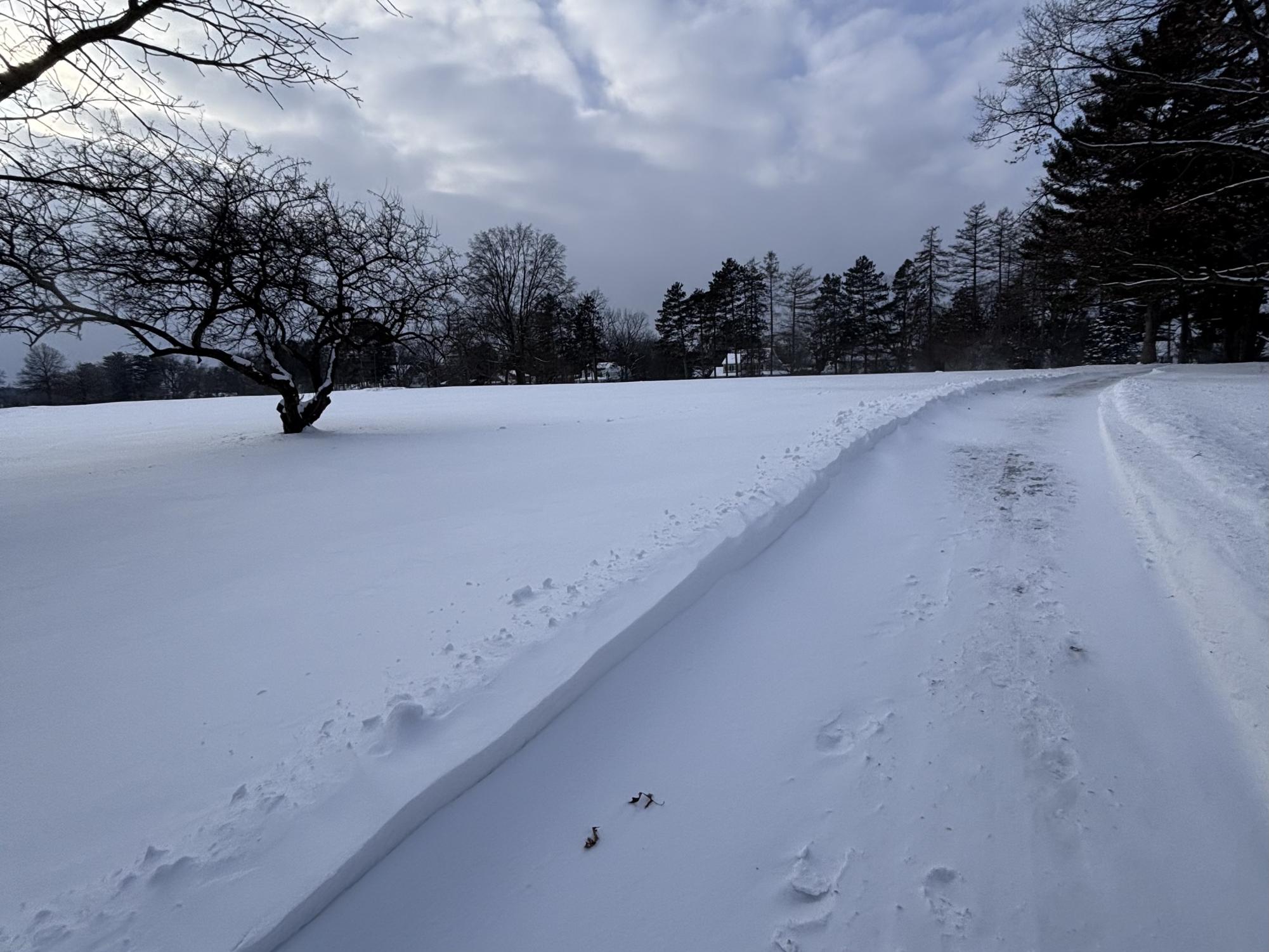 Snow covers Penn State's Golf Courses, bordering North Atherton St. on Jan. 27.