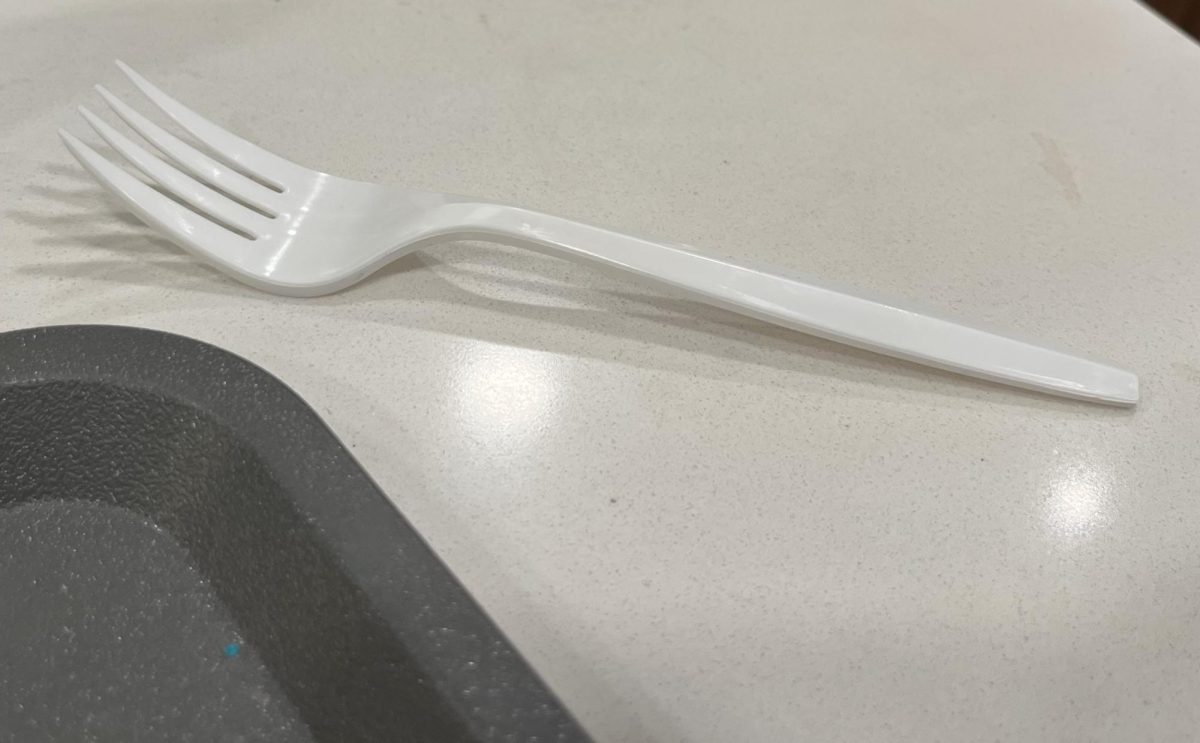 Utensil Shortages Cause a Switch to Plastic