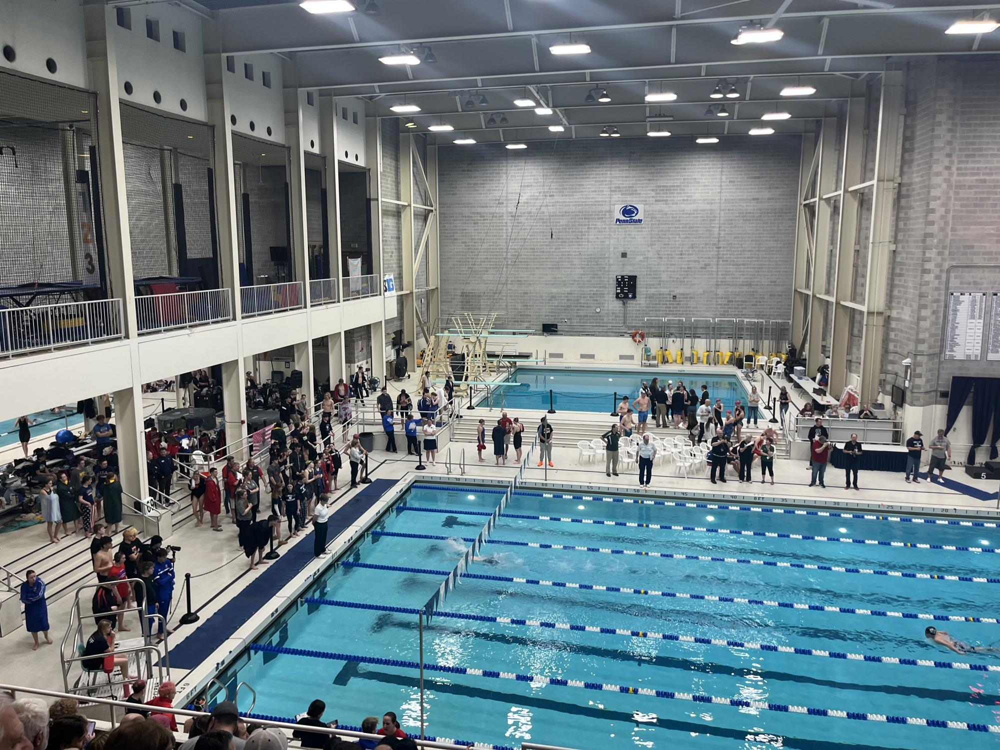 Swim and Diving fans watch districts championship meet.