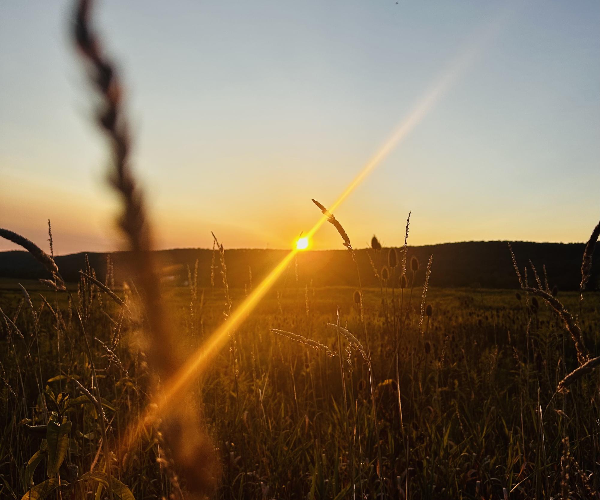 The beautiful sunset: A letter to my freshman self